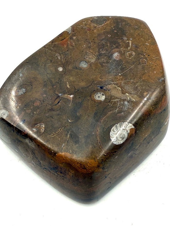 Image 1 of Luxury fossil brown marble ashtray bowl, France 1970s