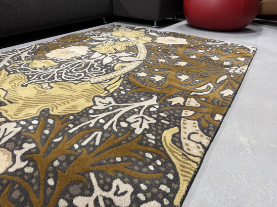 Image 1 of Alfombra Brink en Campman Seaweed 06 170x240