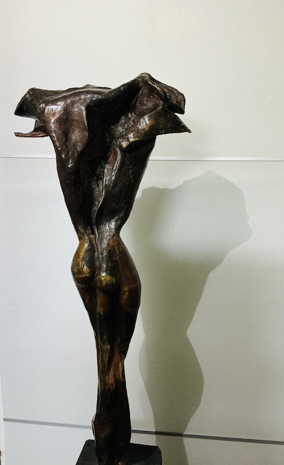 Image 1 of Homme torse