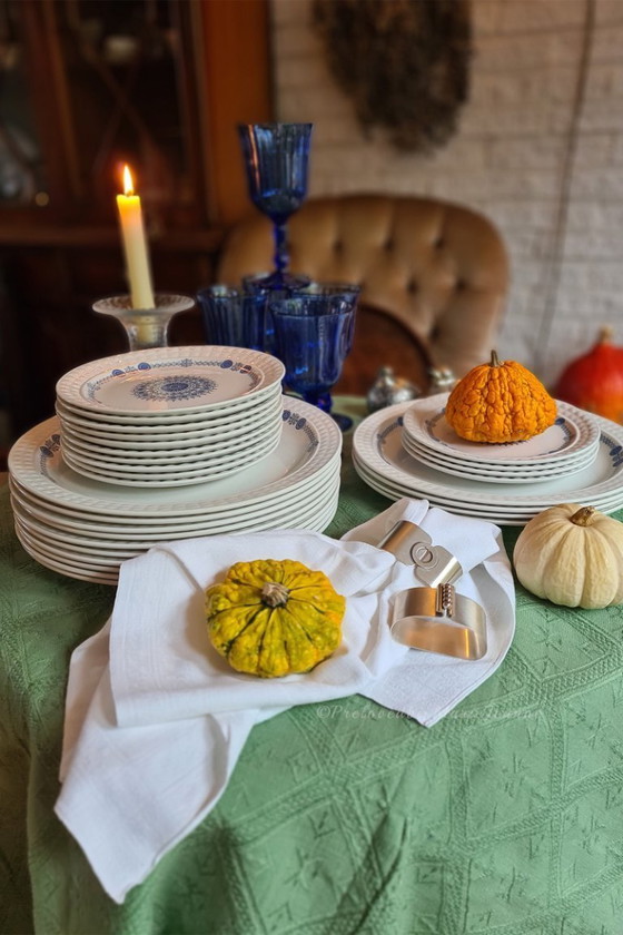 Image 1 of 28 Pontesa The Castilian Collection Granada borden- 2 sets- Ironstone