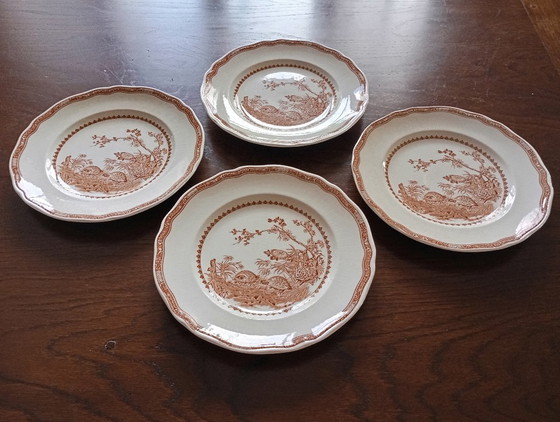 Image 1 of Furnivals „Quail“ englische flache Teller