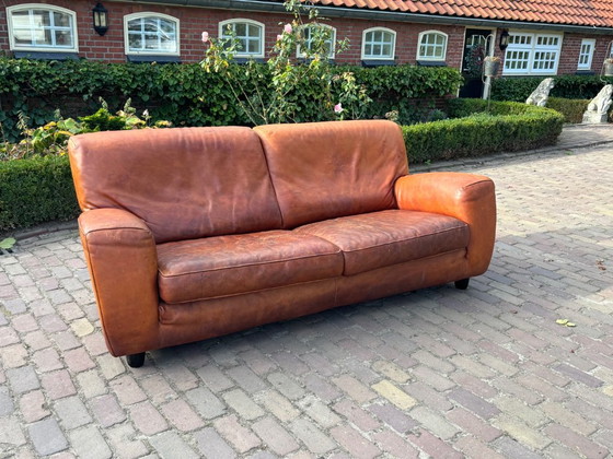 Molinari Fat Boy, Divano 2,5 posti, Cognac – Divani, Pelle (photo 2 of 9)