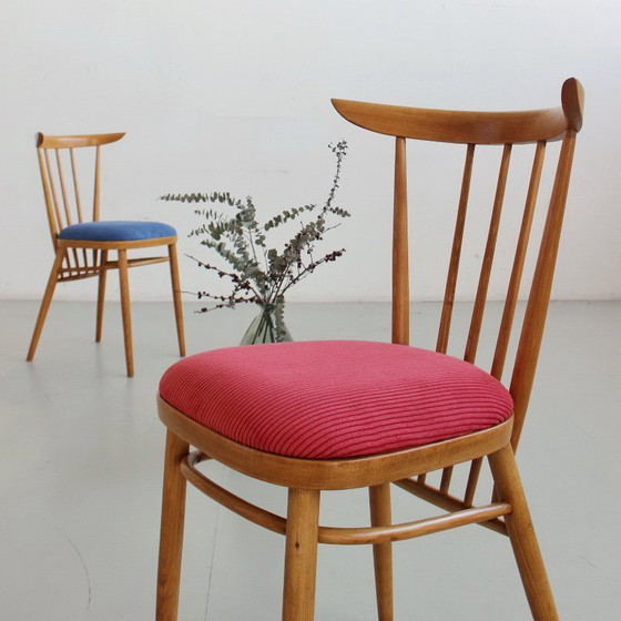 Image 1 of Mid-Century Chairs from Czechoslovakia, Fully Restored and Reupholstered, Vintage 1960s 1970s