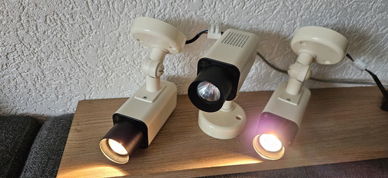 Image 1 of Herda fleckt 3 Stück