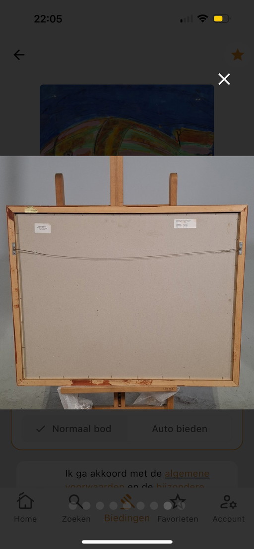 Maya Wildevuur - original work - acrylic painting - framed - 90x70 cm - Fish