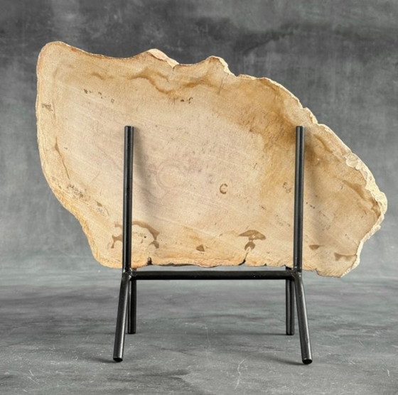 Image 1 of Madera fosilizada de Sooka, soporte hecho a medida (nuevo)