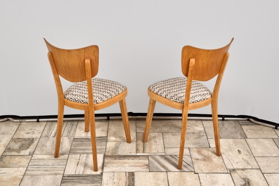 Set of 4 Dining Chairs, by TON, 1960s, Czechoslovakia – Textile, Wood (photo 10 of 15)