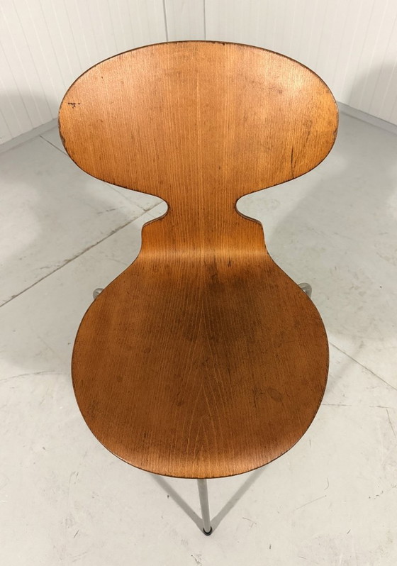 Image 1 of Silla Ant temprana de Arne Jacobsen para Fritz Hansen, Dinamarca, década de 1950