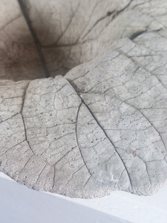 Image 1 of Coupe à fruits vintage en béton coulé, motif de feuille, pour bain d'oiseaux.