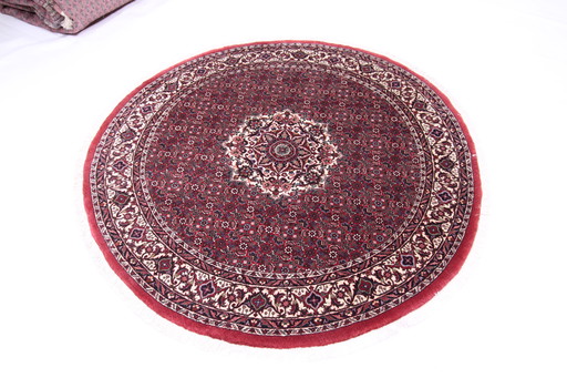 Tapis persan original noué à la main Bidjar Takab Très fin Noué 150 X 150 cm Top condition