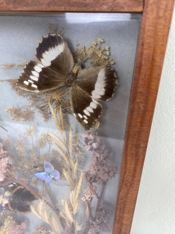 Image 1 of Eingerahmte Schmetterlinge und Blumen