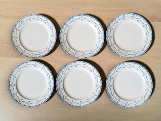 6 piatti in terraglia inglese "Cheltenham" — F. Winkle & Co – Stoviglie, Porcelain, Art Nouveau (photo 2 of 8)