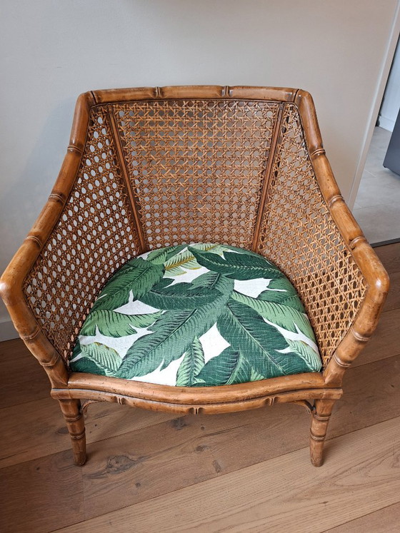 Vintage mid-century Giorgetti rattan chair botanical print – Armchairs, Bamboo (photo 3 of 5)