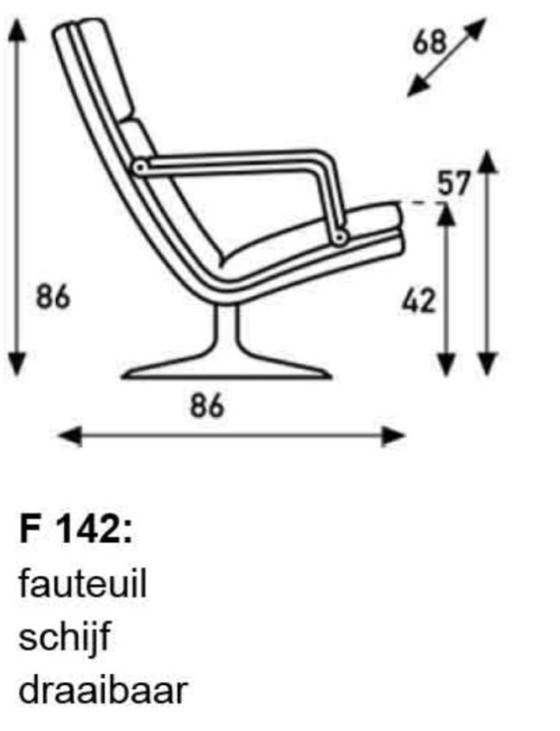 Image 1 of Artifort F142
