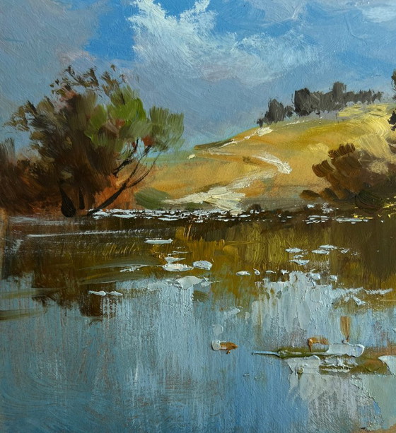 Image 1 of Origineel olieverfschilderij: Zomers rivierlandschap, een verloren hoekje van de natuur.