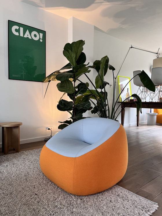 Image 1 of Ensemble de chaises longues Artifort Swamp