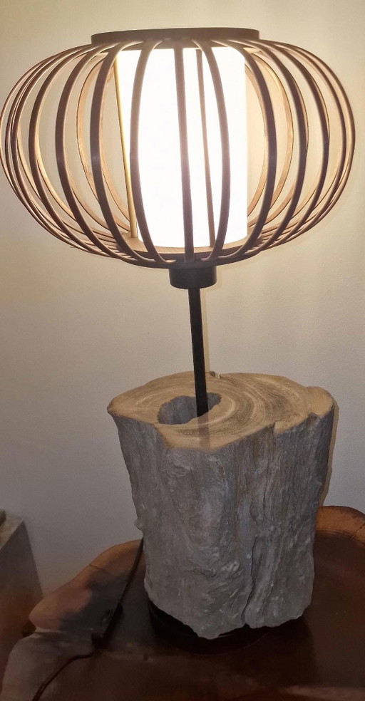 Vintage lamp met versteend hout