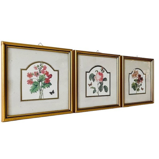 Set di pittura vintage fiori rosa