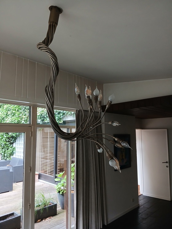 Image 1 of Luster Catelani & Smith