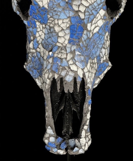 Véritable crâne de vache indonésien avec mosaïque 