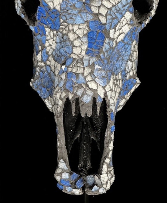 Image 1 of Véritable crâne de vache indonésien avec mosaïque 