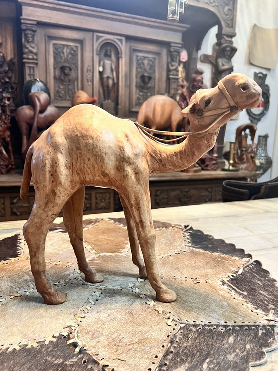 Image 1 of Design Liberty's of London dromedary 