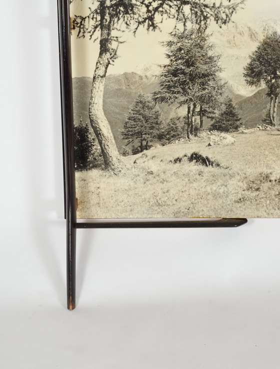 Image 1 of Appendiabiti italiano unico di metà secolo, anni '50