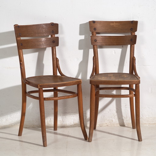 Pair of Mundus-Borlo bentwood chairs with splat back – Romania, circa 1920