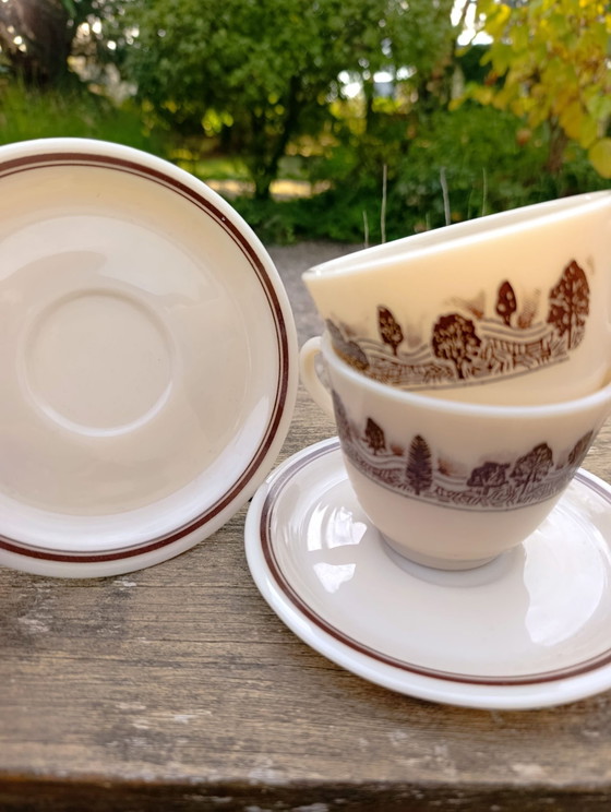 2 tazze / sottotazze vetro opalino decoro bucolico, JAJ Pyrex England – Accessori da tavola (photo 2 of 7)