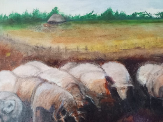 Image 1 of T. van Steenbergen "sheep on the Blaricum heath"
