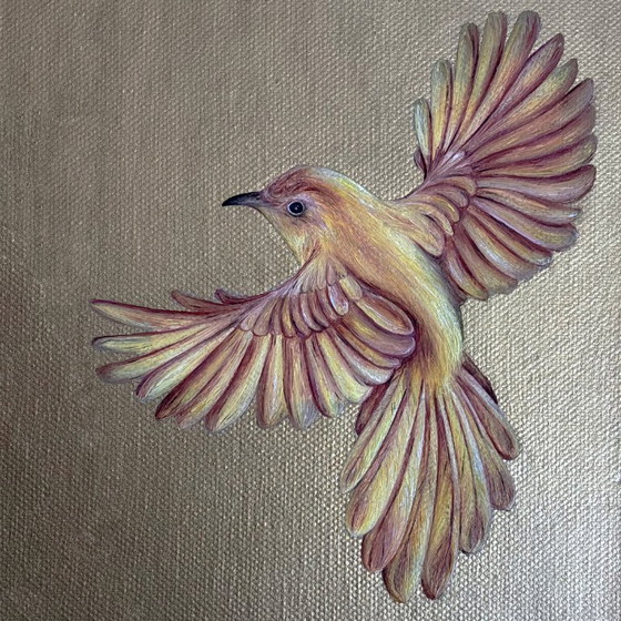 Kleurrijk Vogel kunstwerk – Schilderijen & Tekeningen, Canvas (photo 8 of 8)