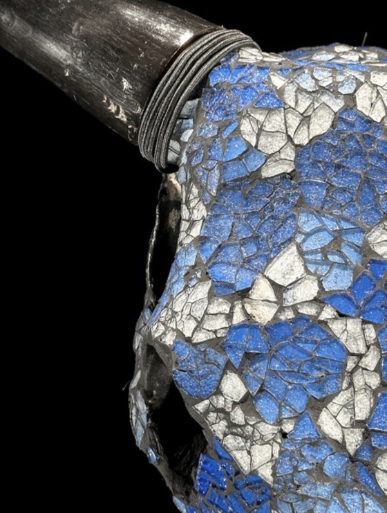 Image 1 of Véritable crâne de vache indonésien avec mosaïque 