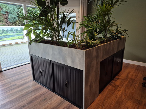 Image 1 of Complete kantoorinrichting met 6 werkplekken inclusief plantenbakken met planten