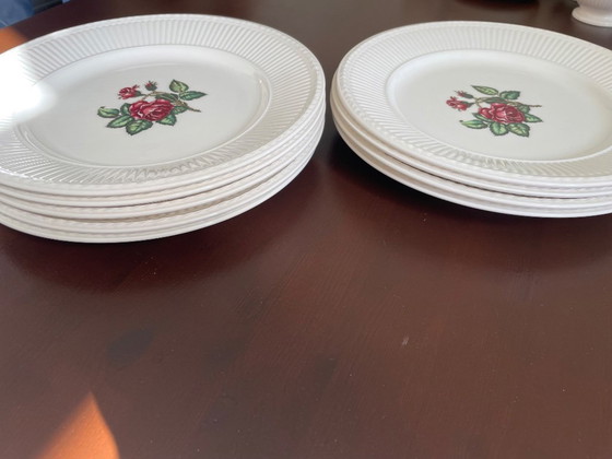 Image 1 of Wedgwood Moss rose