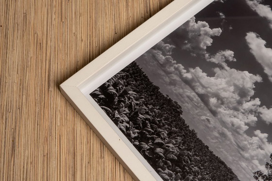 Image 1 of Virginia Landscape 2022