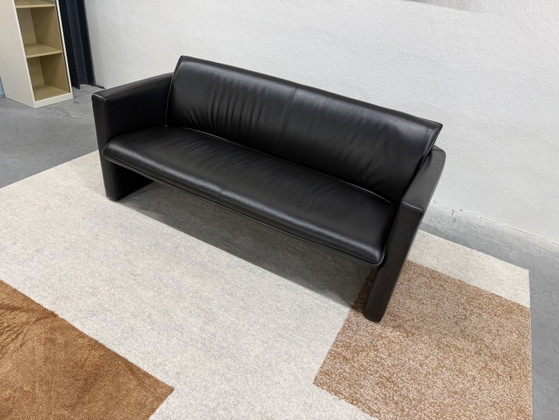Divano Leolux Fiabo 2,5 posti in pelle nera – Divani 2 posti, Leather (photo 4 of 8)