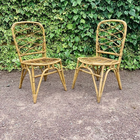 Image 1 of Paar rotan stoelen van Van Rohe