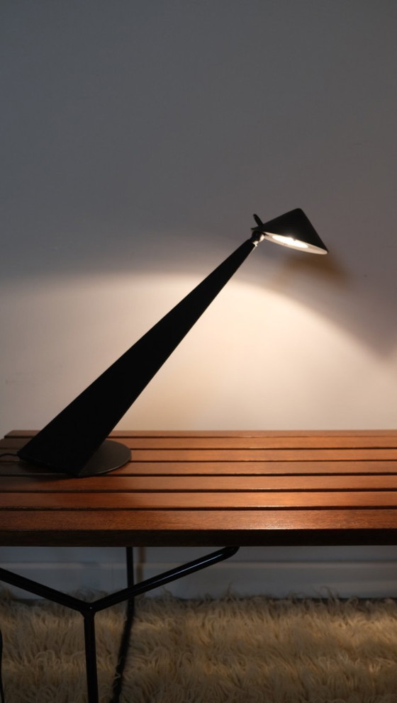 Image 1 of Toucan Lamps by Patrice Bonneau