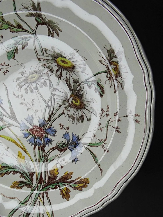 Antike Longchamp Flachschale mit polychromen Gänseblümchen aus Eisenstein. – Geschirr, Porzellan, Art Nouveau (photo 7 of 13)