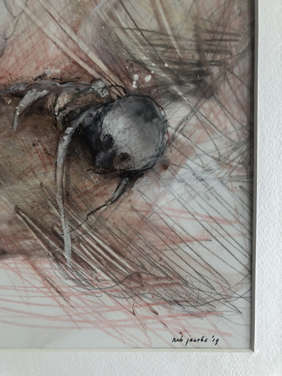 Image 1 of Rob Jacobs - tutto ha una fine