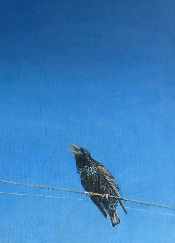 Peinture à l'huile originale, art moderne, symbolisme, oiseaux, ciel, étourneau – Peintures et dessins, Canvas (photo 7 of 7)