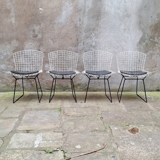 Set van 4 draadstoelen van Harry Bertoia, jaren 60.