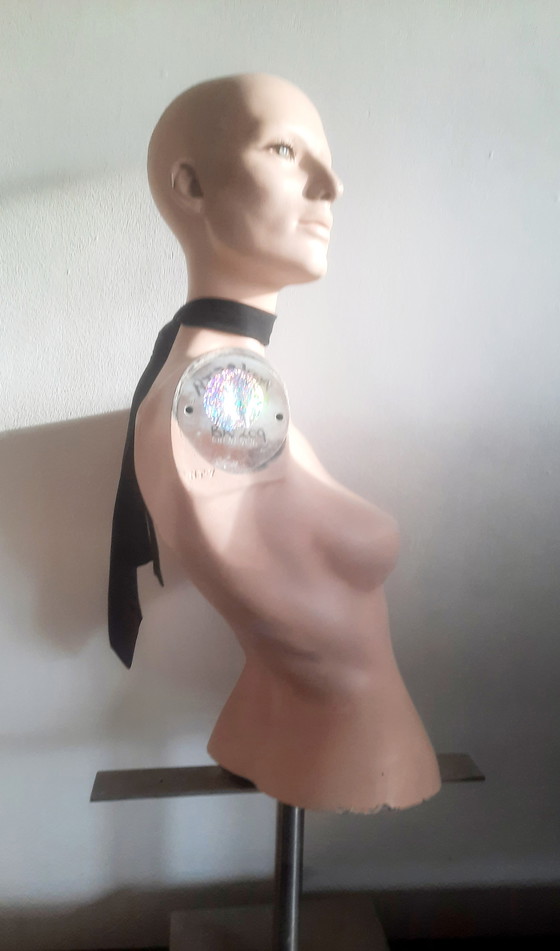 Image 1 of Torso di manichino femminile Lupo e Vine Greneker 