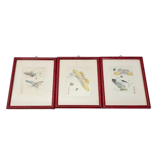 Ensemble de 3 estampes chinoises de papillons sur soie – vers 1950-1970 – wanddecoratie, Silk