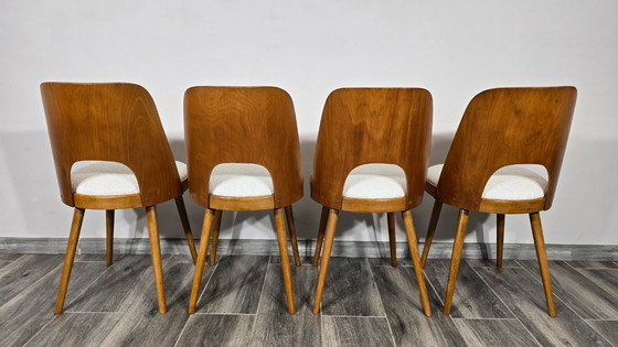 Image 1 of Eetkamerstoelen van Oswald Haerdtl