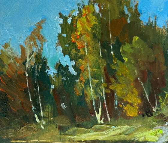 Image 1 of Original Oil Painting Coastal Forest Landscape Flowing among the trees