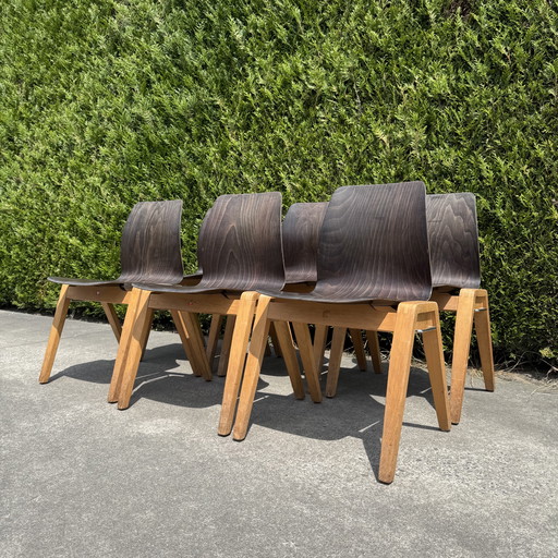 16 Stühle - ADAM STEGNER für PAGHOLZ FLÖTOTTO