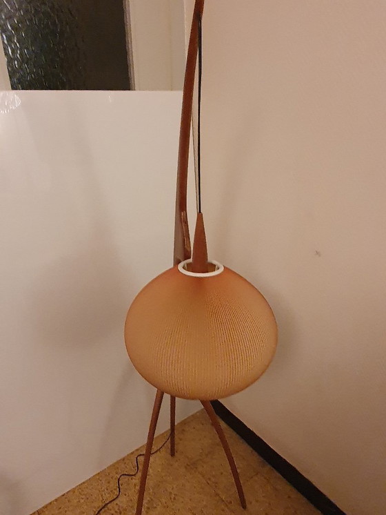 Image 1 of praying mantis