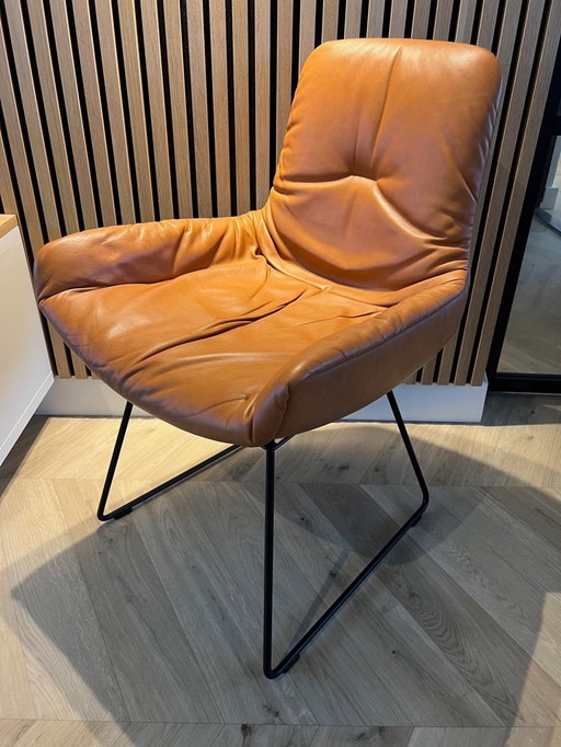 Fauteuil Barones Leya