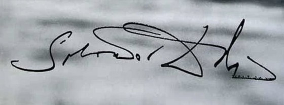 Image 1 of Salvador Dali: "Zwemmende Dali”. Gesigneerd in de plaat.  In uitstekende staat. 